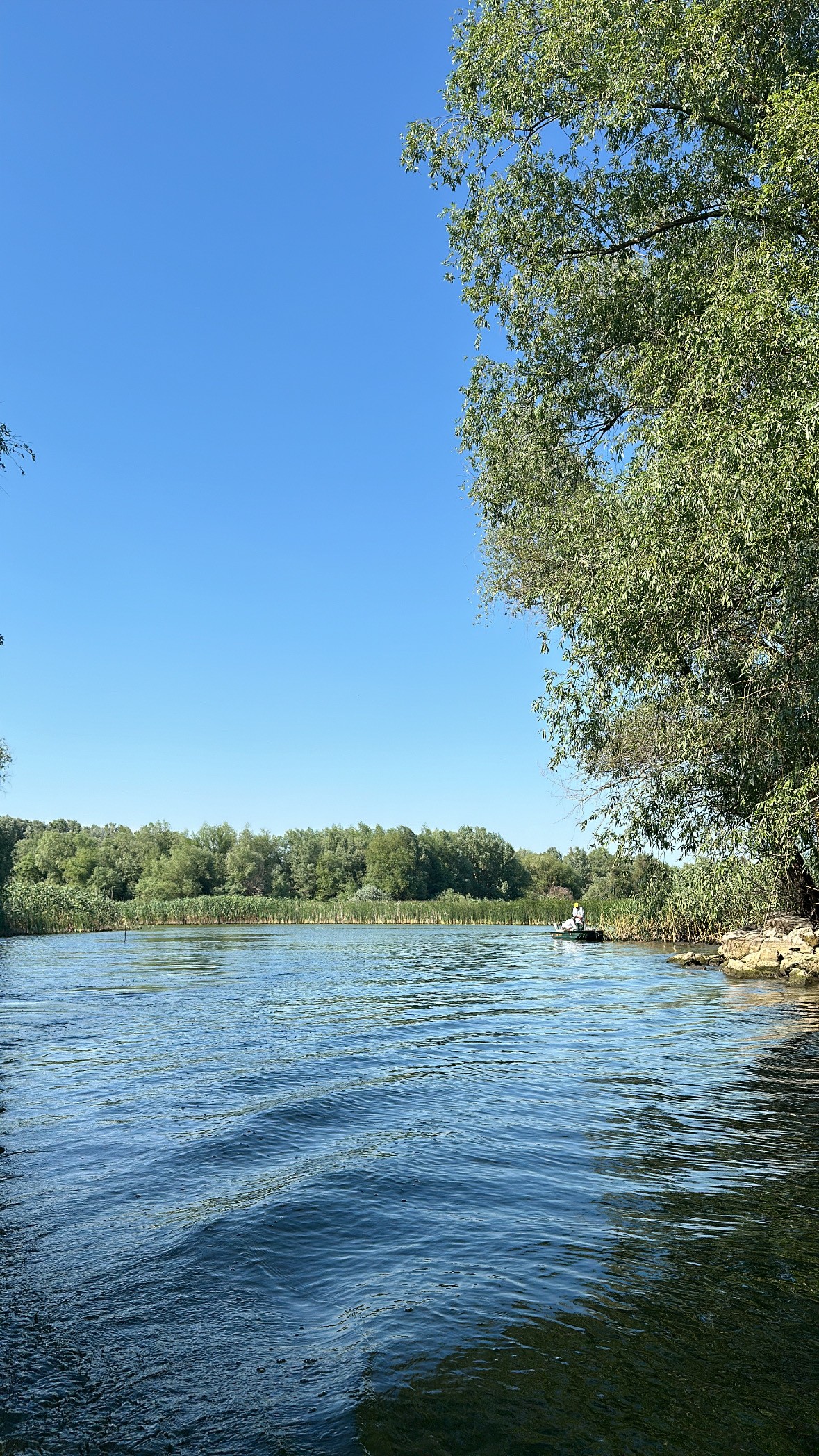 Family Team Building99